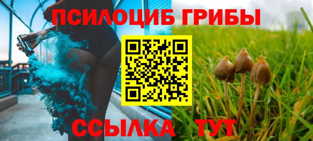 Кашира  Галлюциногенные грибы прущие грибы  Вход с VPN 