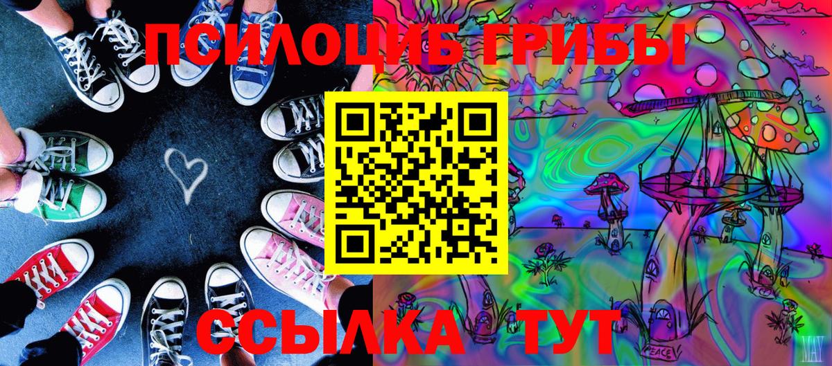 Псилоцибиновые грибы мухоморы Кашира